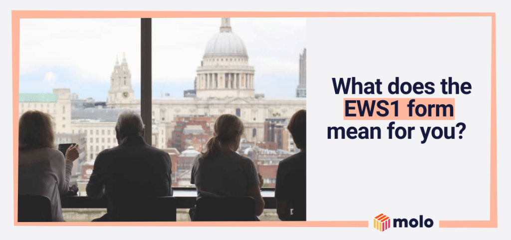 EWS1 Form - Molo Finance